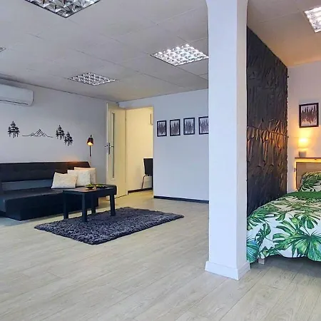 Izerapart Centrum Blisko Swieradowa-zdroj *