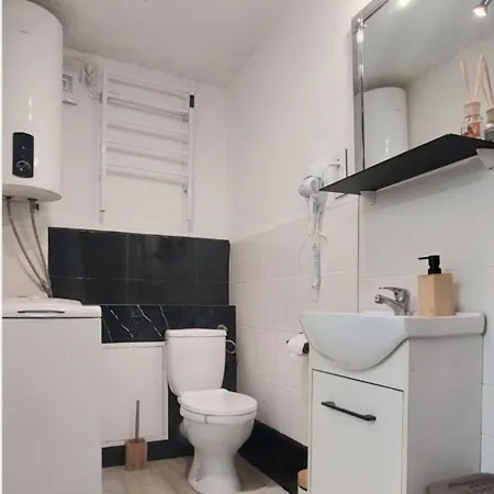 Appartement Izerapart Centrum Blisko Swieradowa-zdroj Mirsk