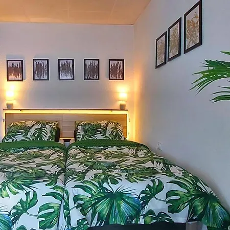 Appartement Izerapart Centrum Blisko Swieradowa-zdroj *